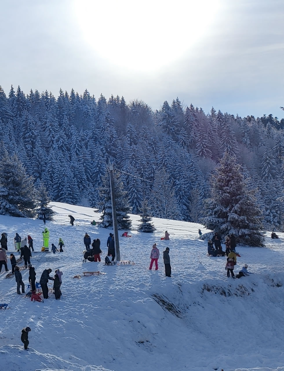 Skijanje